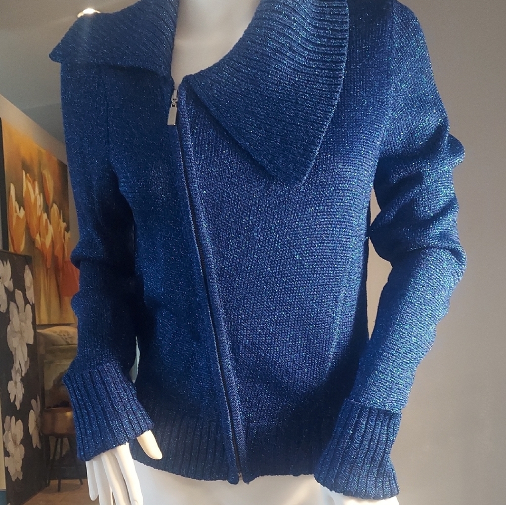 Elegant Blue Women's Sweater